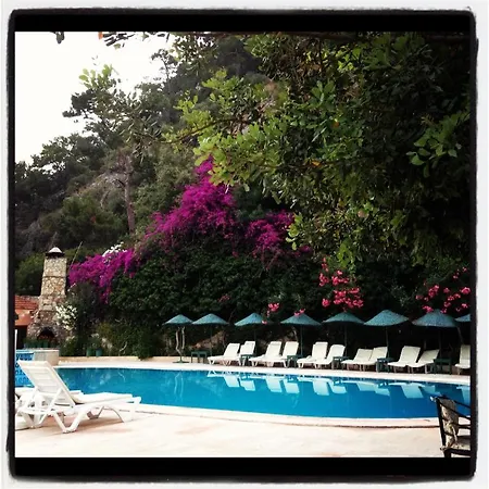 Aygul 3* Oludeniz