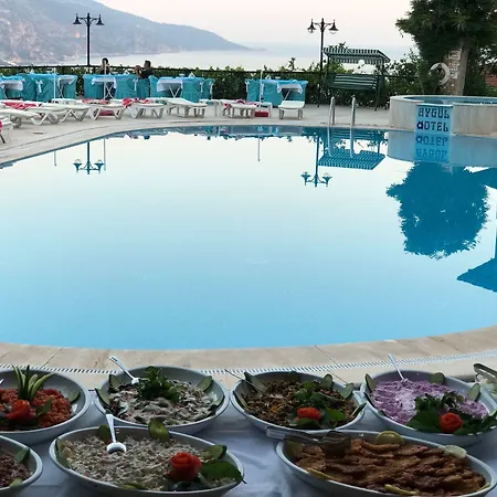 Aygul فندق