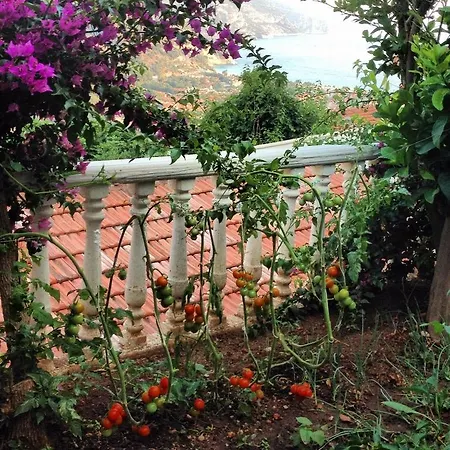 Aygul Hotel