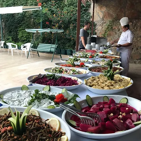 호텔 Aygul 페티예