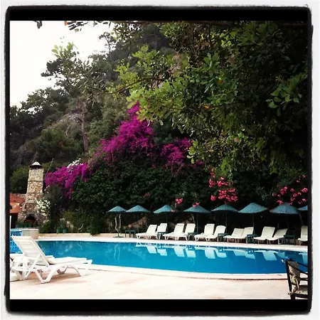 Aygul 3* 费特希耶