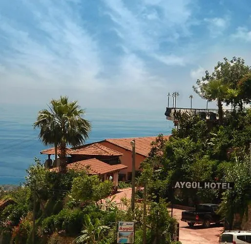 Hotel Aygul 3*